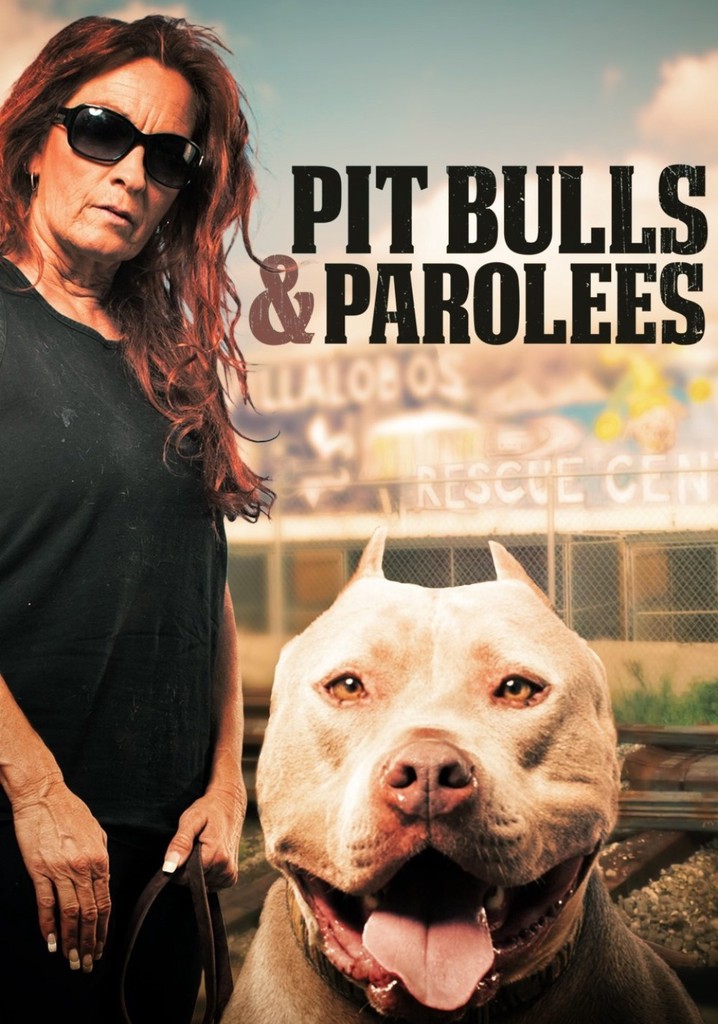 Pit Bulls and Parolees streaming tv show online